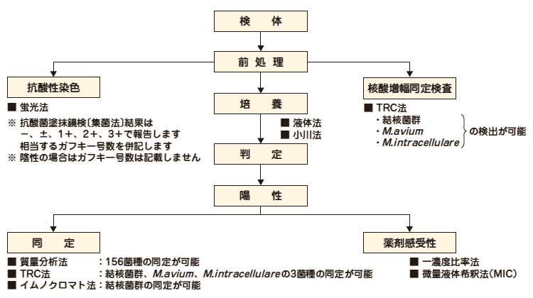 抗酸菌検査フローチャート