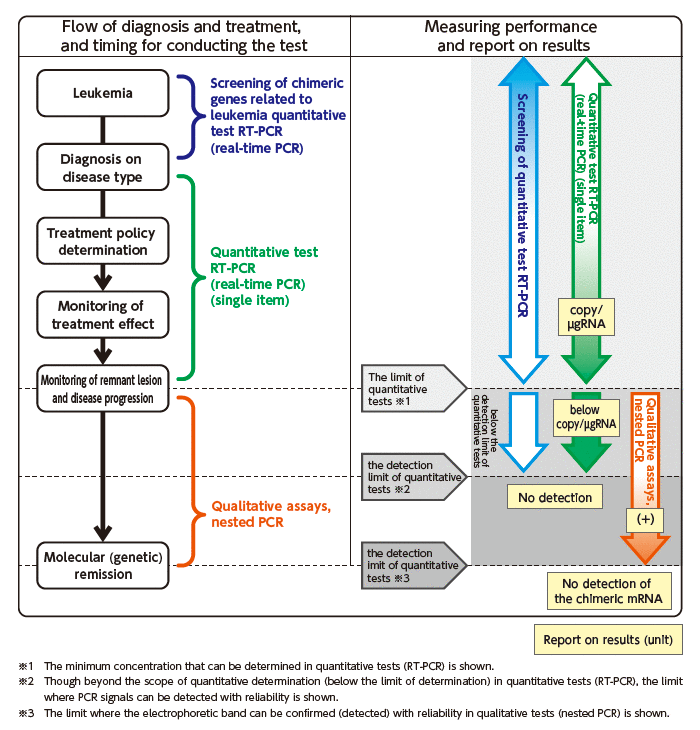 Flow of diagnosis and treatment, and timing for conducting the test ／ Measuring performance and report on results