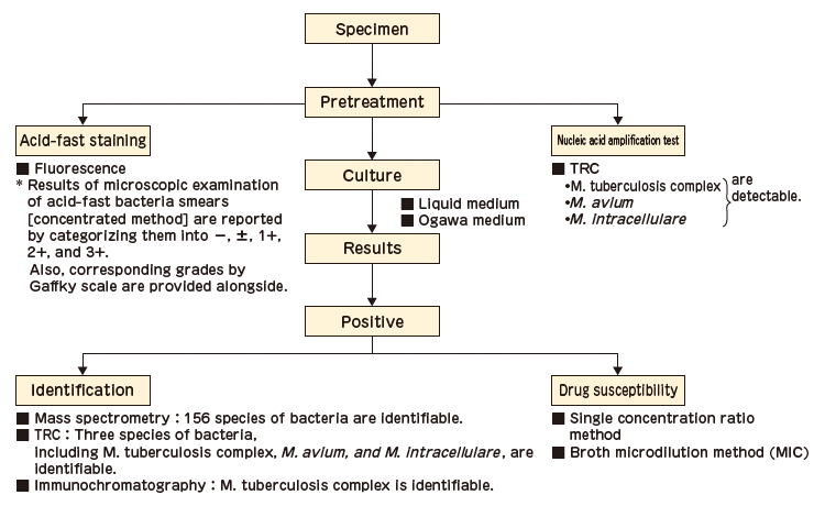 Flow chart of acid-fast bacteria testing